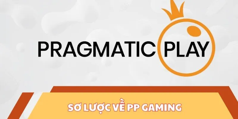 Sơ lược về PP Gaming