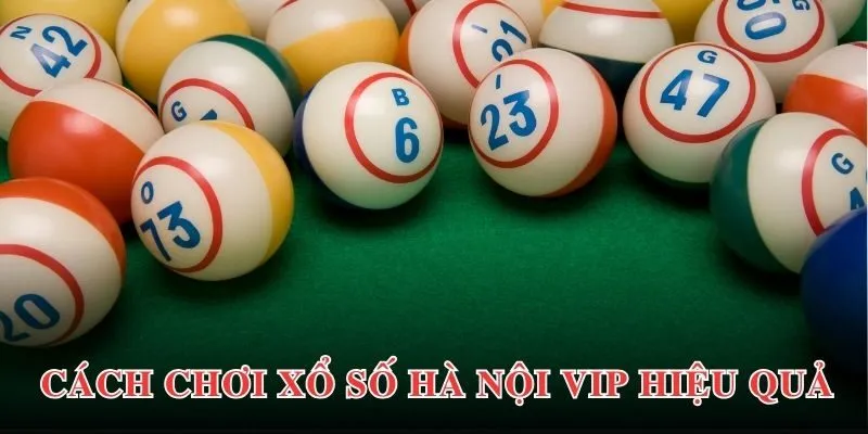 Bật mí chiến lược trải nghiệm Hà Nội Vip hiệu quả nhất cho người mới